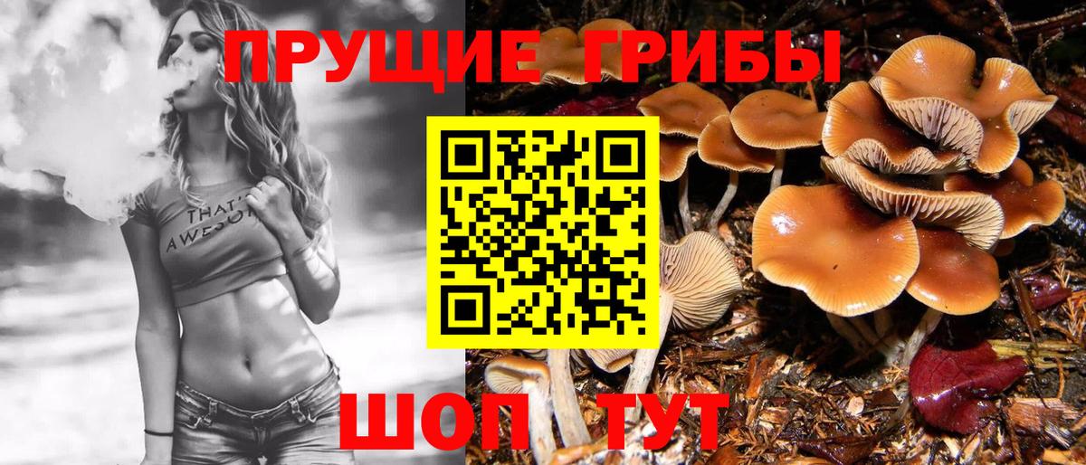 Саянск  Псилоцибиновые грибы Cubensis  Вход с VPN 