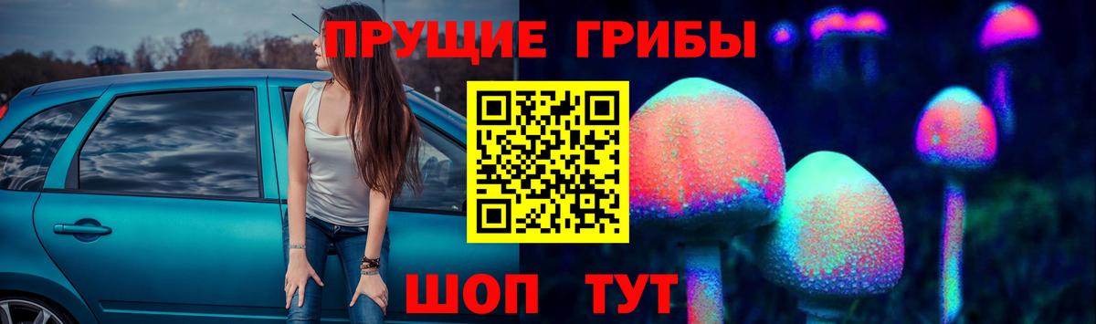 Галлюциногенные грибы MAGIC MUSHROOMS Саянск